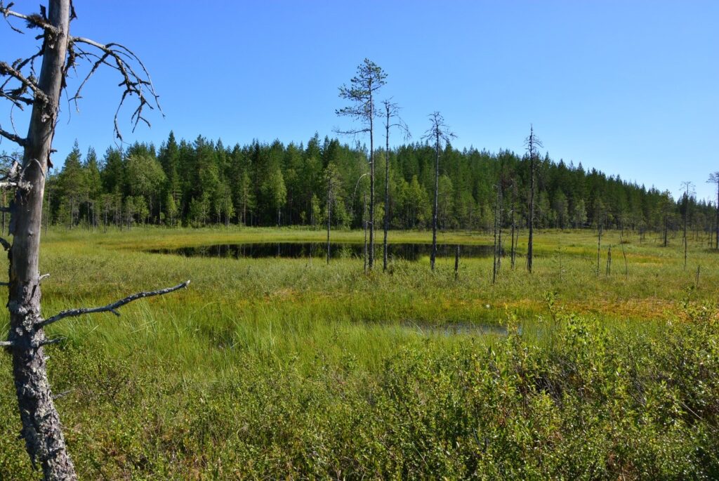 Green Belt of Fennoscandia - Ecological Health Network